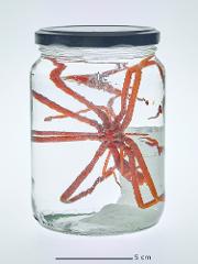 TSZCH 570-39539-foto Mari Karlstad.jpg